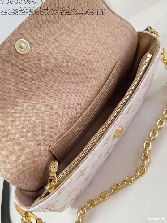 WIS Wallet Louis on Vuitton Chain Ivy-23.5*12*4.3cm 0316